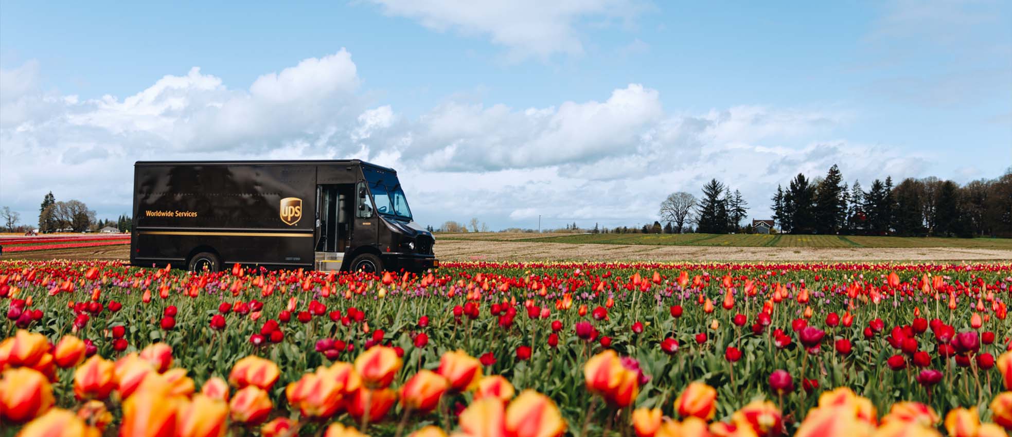 Wereldleider in logistiek